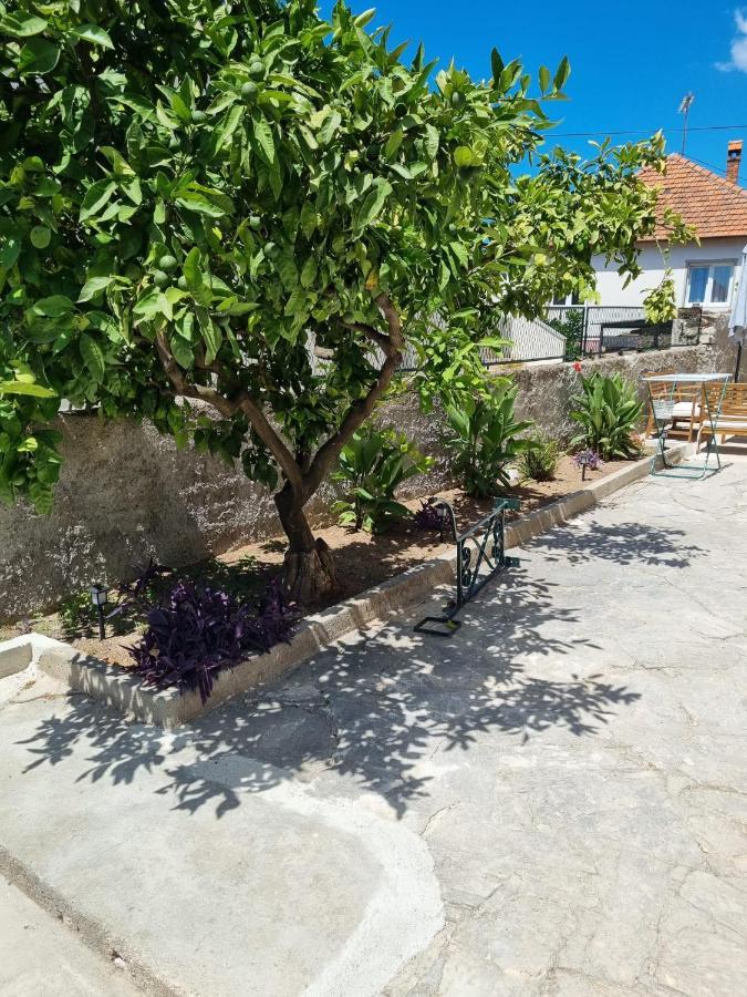 Apartmani Barbarosa Sveti Filip i Jakov Exteriör bild